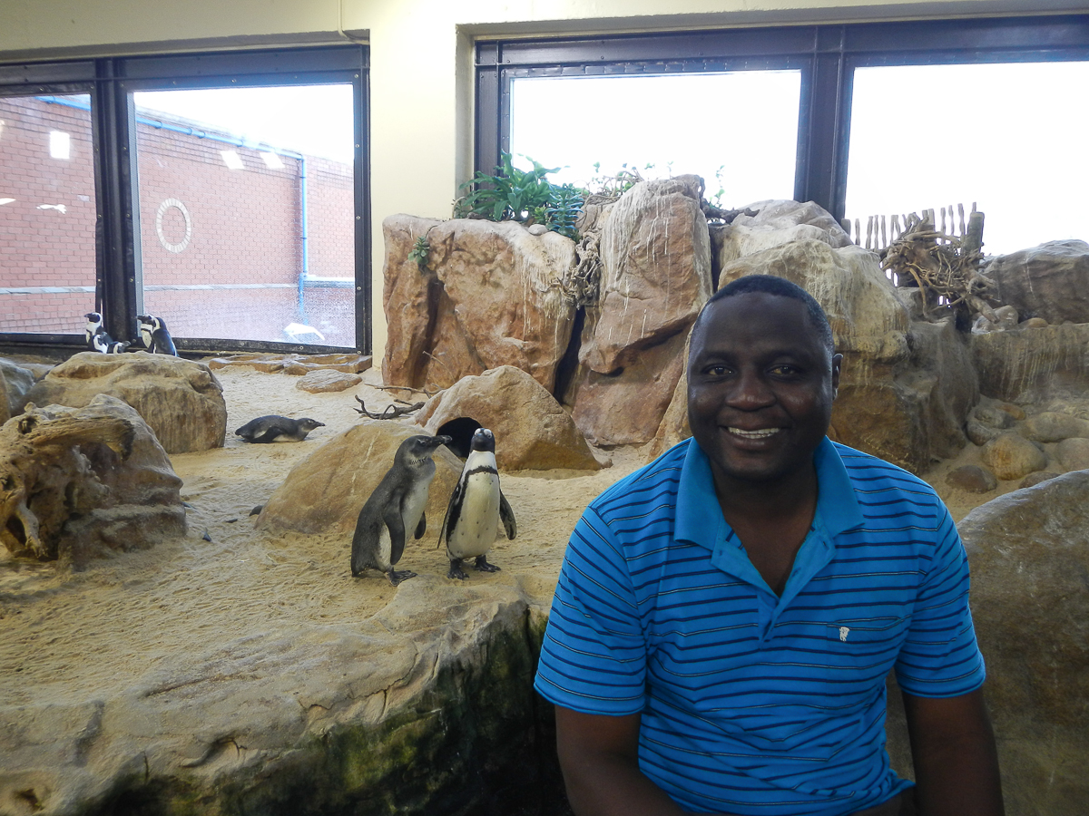 Zeb Goes To Cape Town 4 Zeb Goes To Cape Town 4