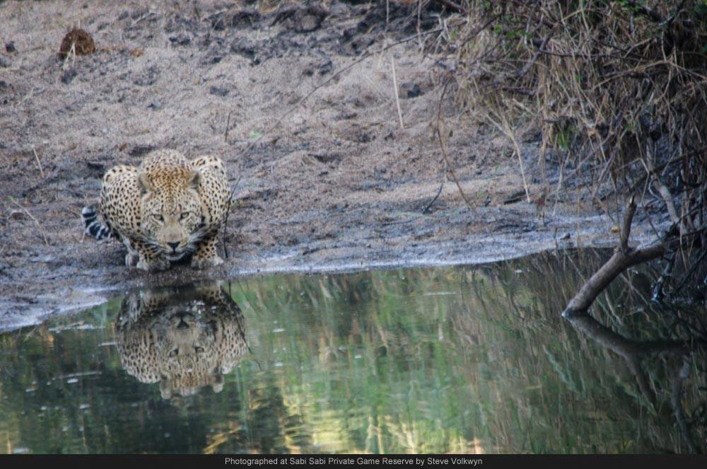 10355492 688280881219566 6444630966013710420 O