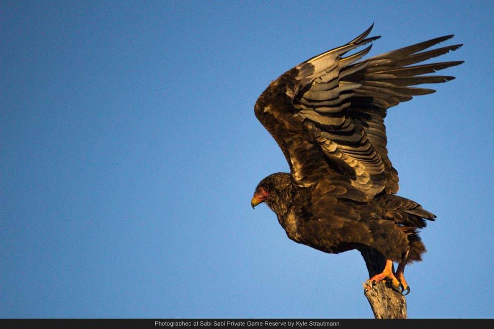 10317769 691480877566233 2076666239423615974 O