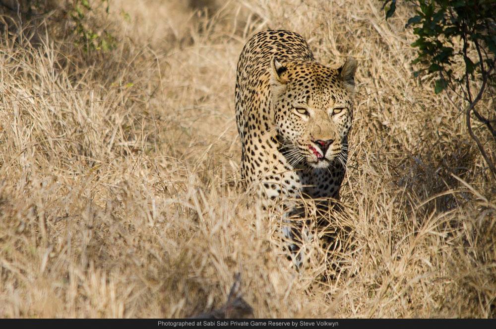 1907835 715509221830065 7528820316034065025 O