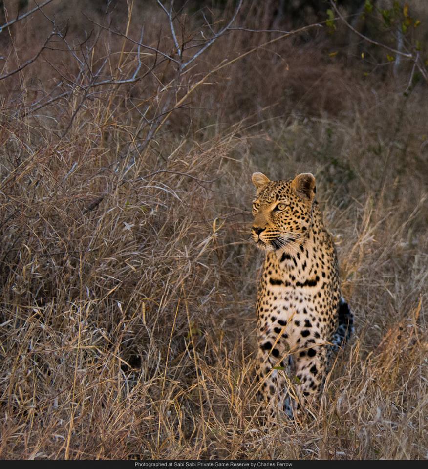 10525930 717852391595748 7860180555127970768 N