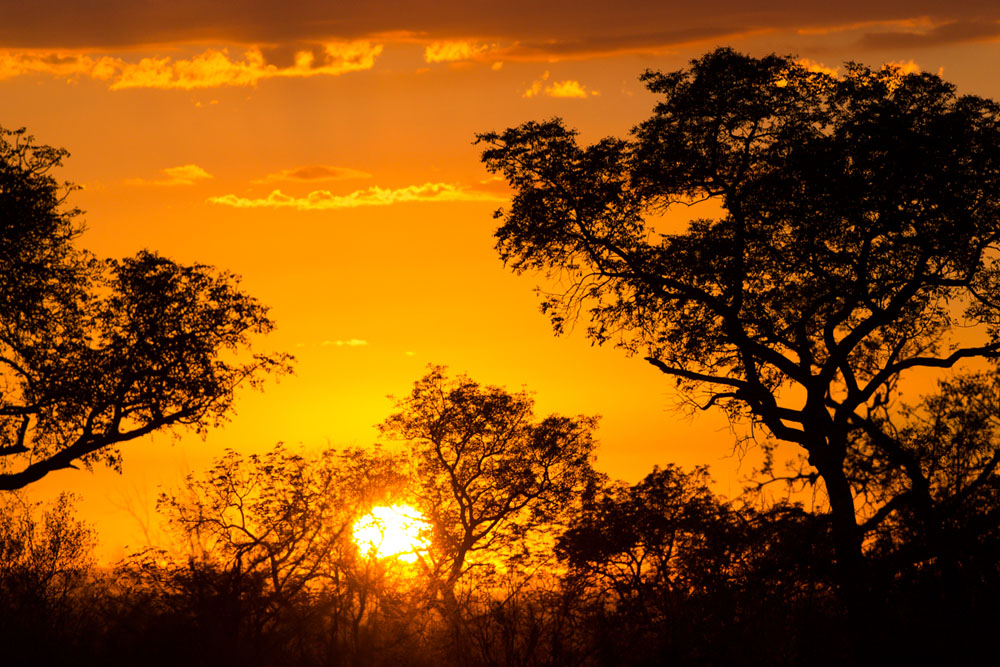 Earth Sunrise 1 Earth Sunrise 1