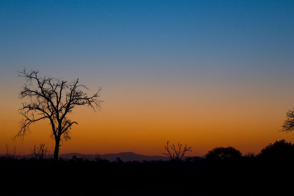 South Sunset South Sunset