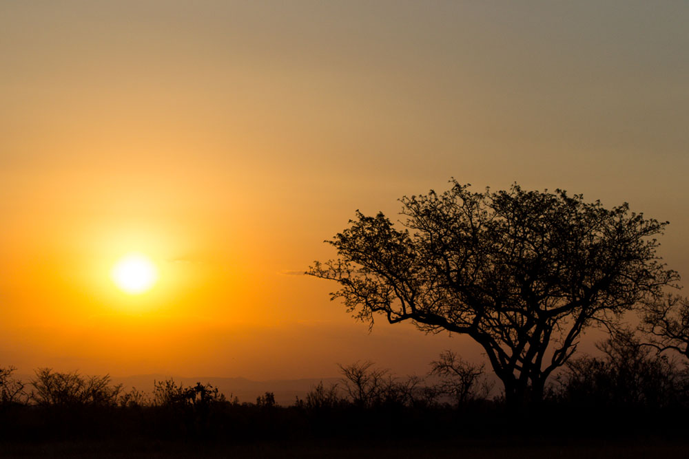 Sunset Sunset