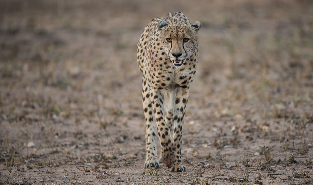 HighlightsAug.Sept .Terry11