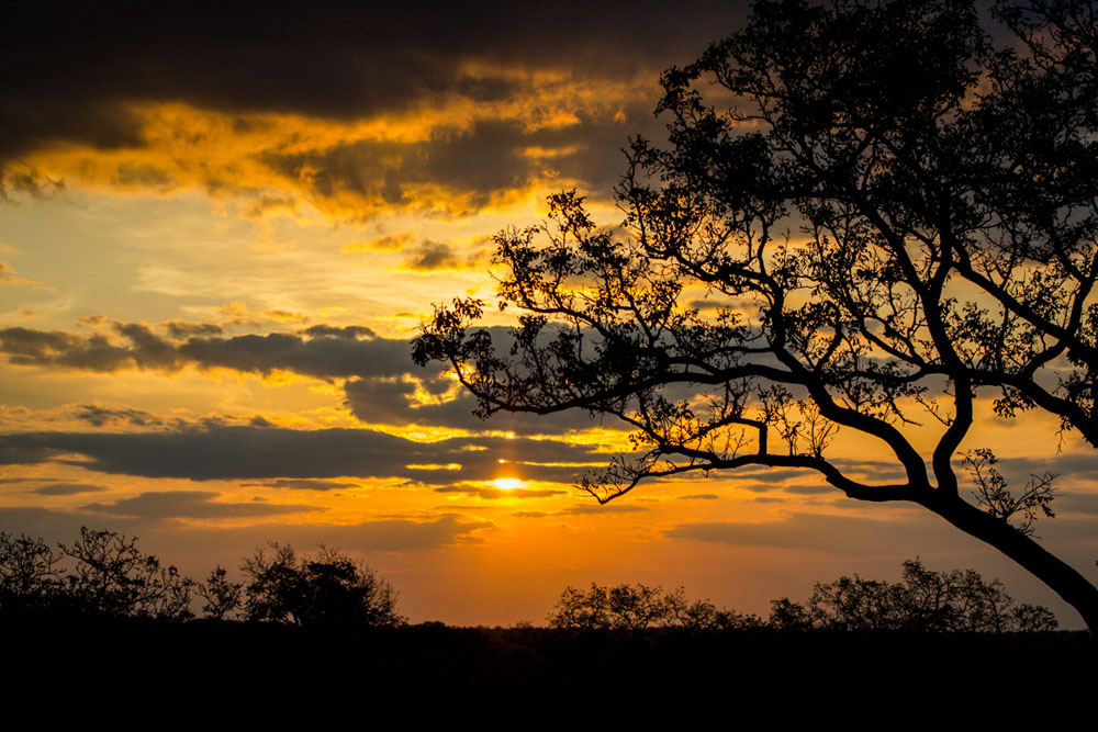 Mike Palmer Sunset Mike Palmer Sunset