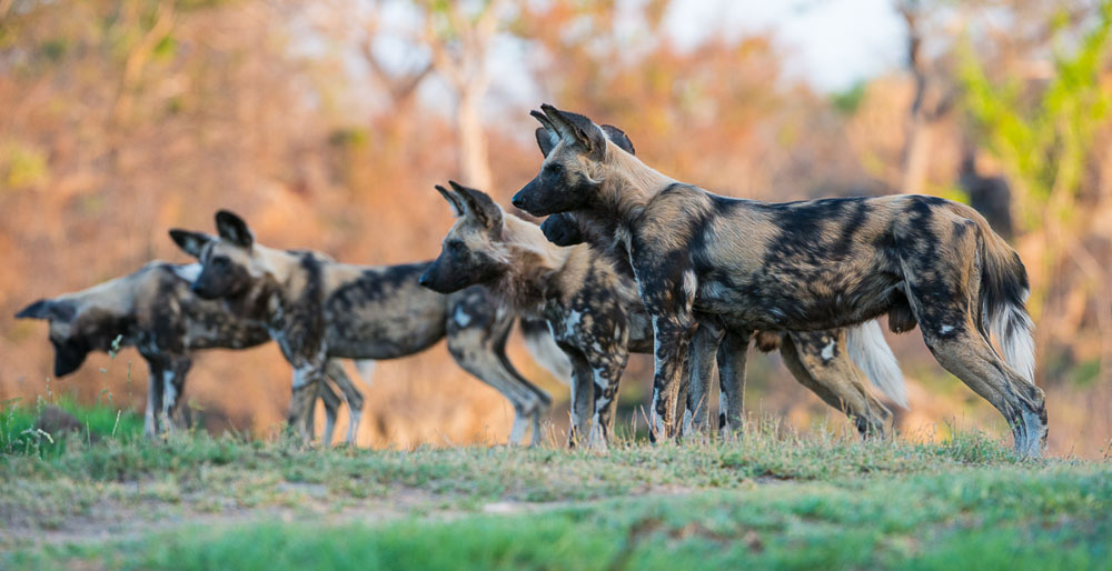 HighlightsOct Nov10.Terry 