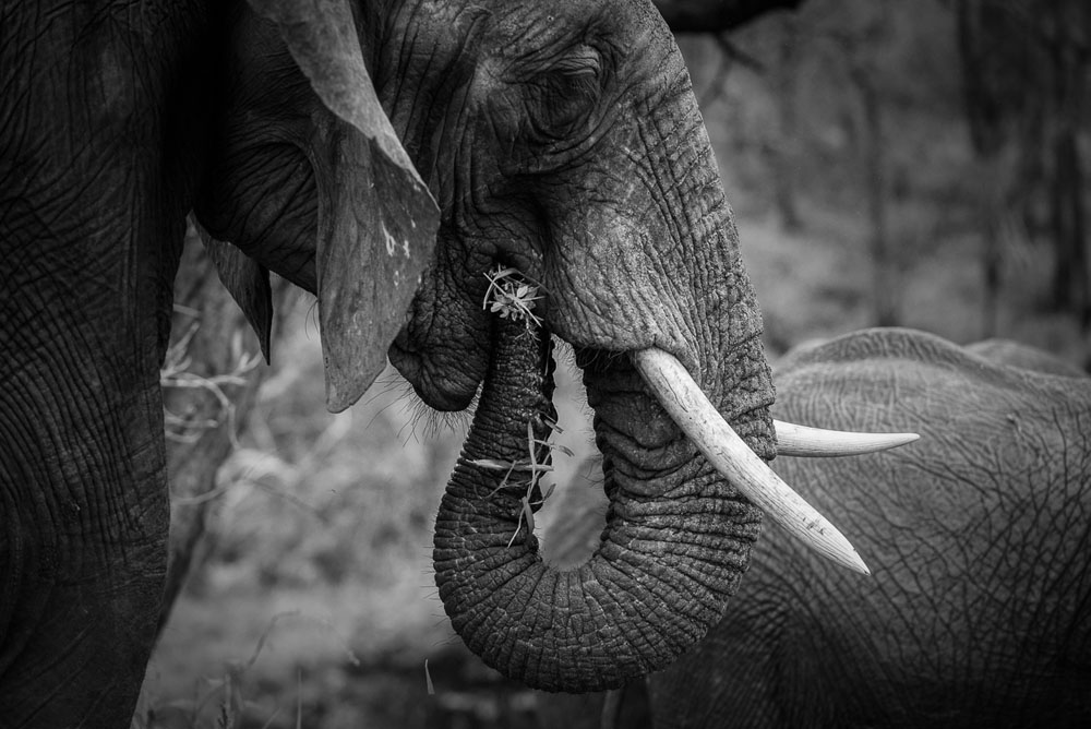 Mike Palmer Monochrome Monday 3 Mike Palmer Monochrome Monday 3