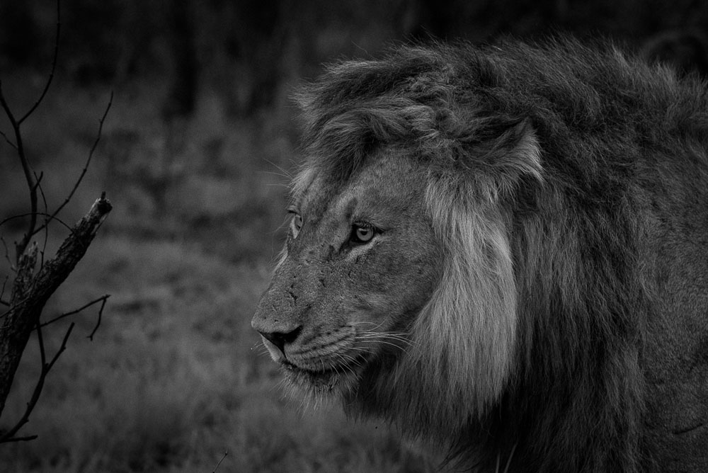 Mike Palmer Monochrome Monday 8 Mike Palmer Monochrome Monday 8