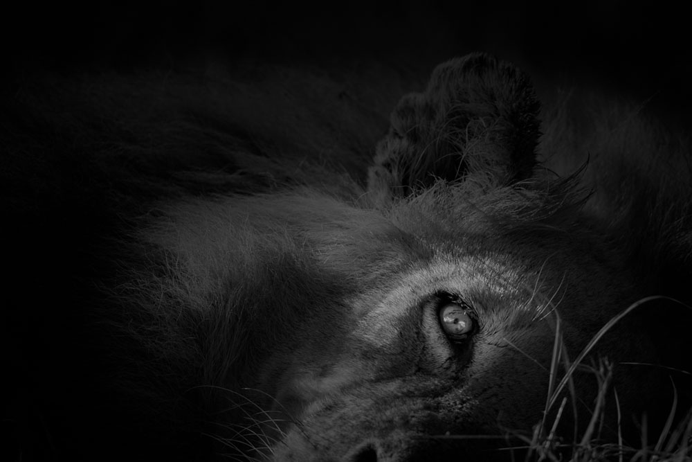 Monochrome Monday 1 Monochrome Monday 1