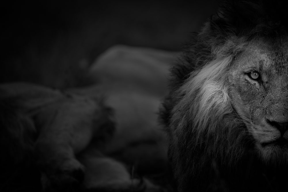 Monochrome Monday 10 Monochrome Monday 10