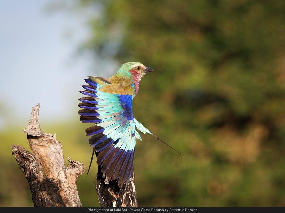 1796095 778118138902506 5035672922977296135 O