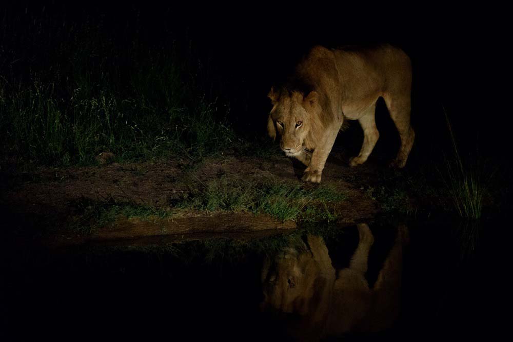 Mike Palmer Styx Pride LBC 4