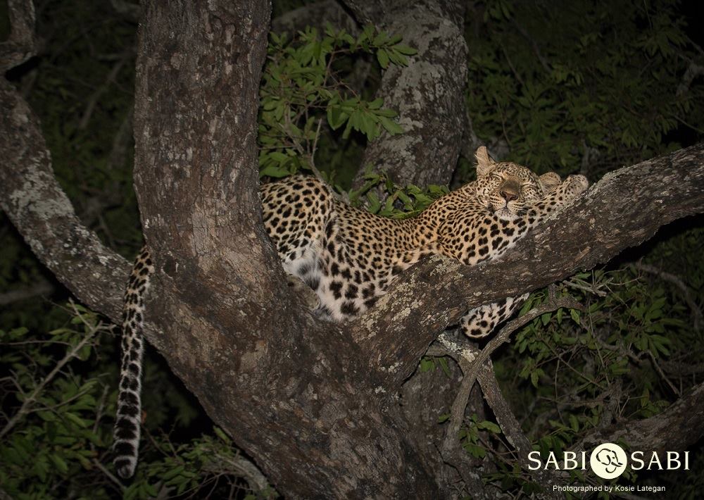 10904505 797502263630760 2543130149476016130 O