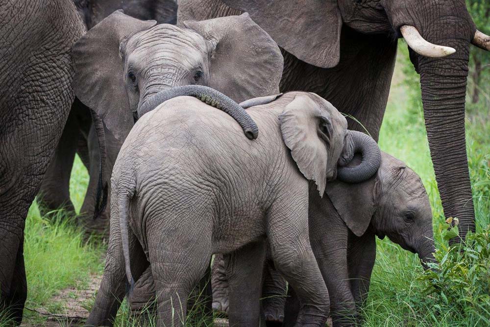 Terry Ennever HighlightsDecJan4