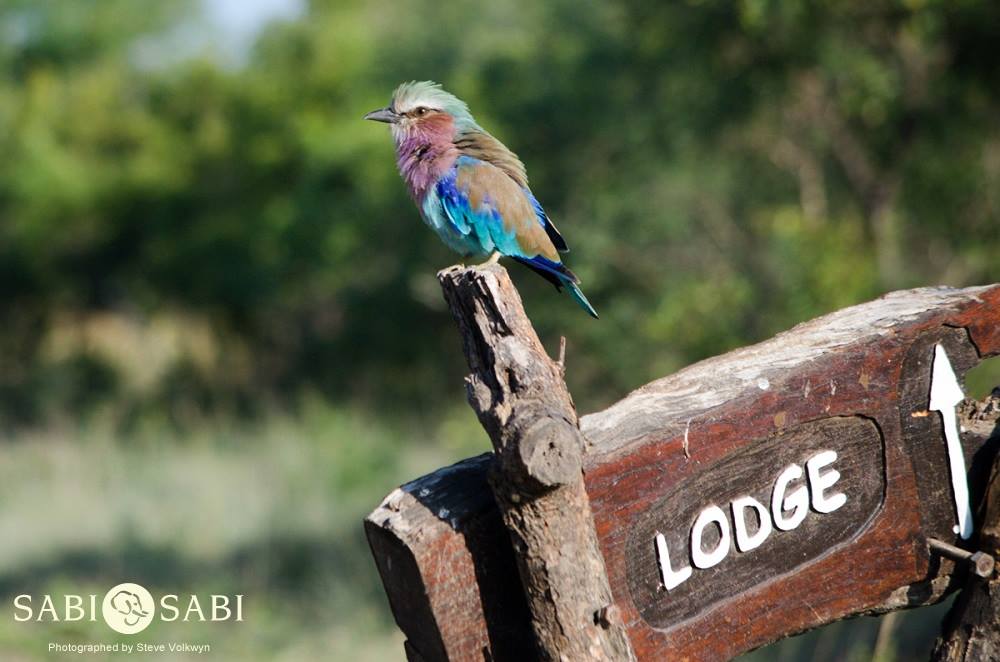 10830490 813017802079206 2350240693260833708 O