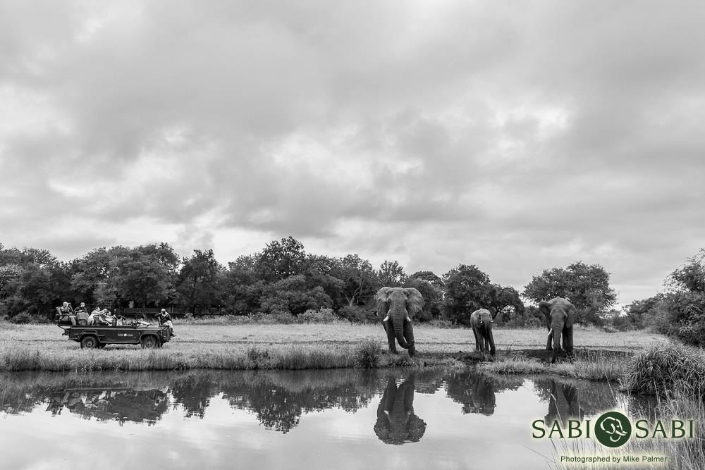 11083783 826936537353999 4612149795374166743 O