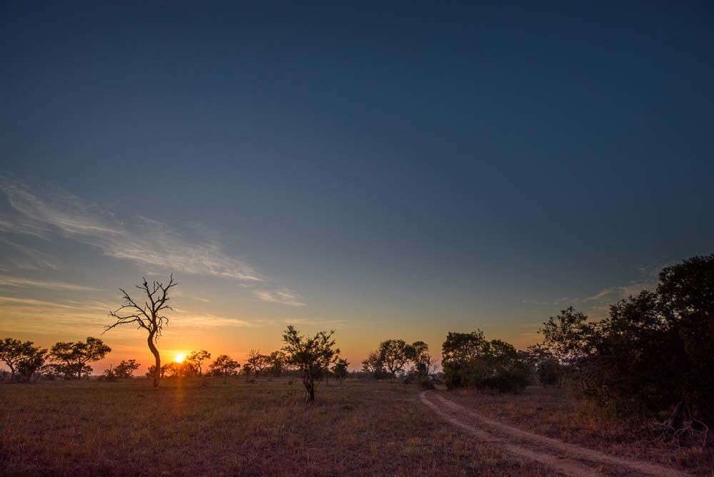 15Mike Palmer Hlamphi Sunrise