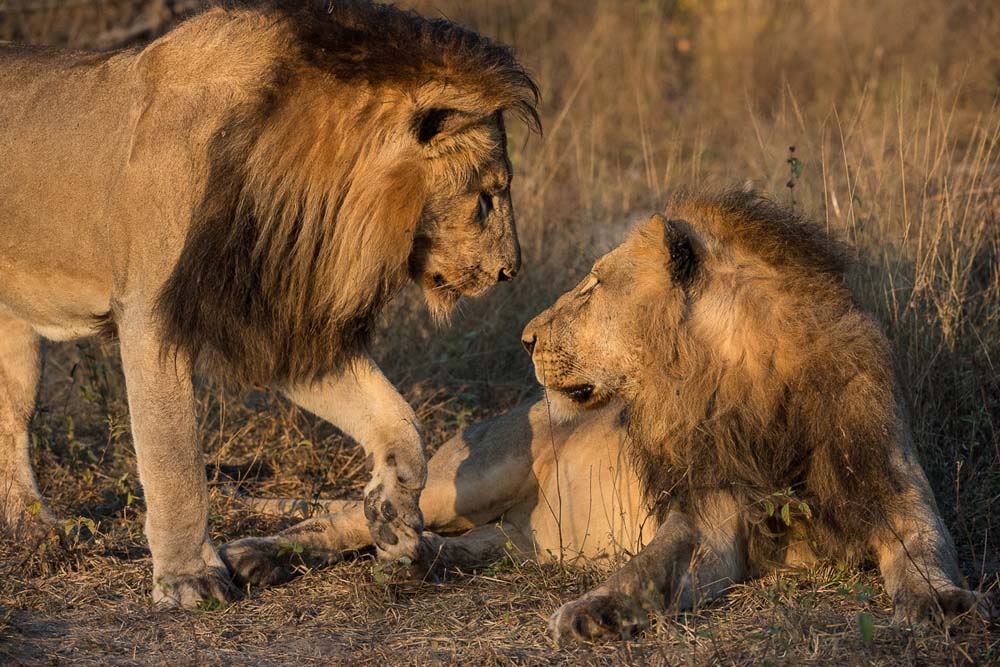 18Terry Ennever Highlights Apl May13