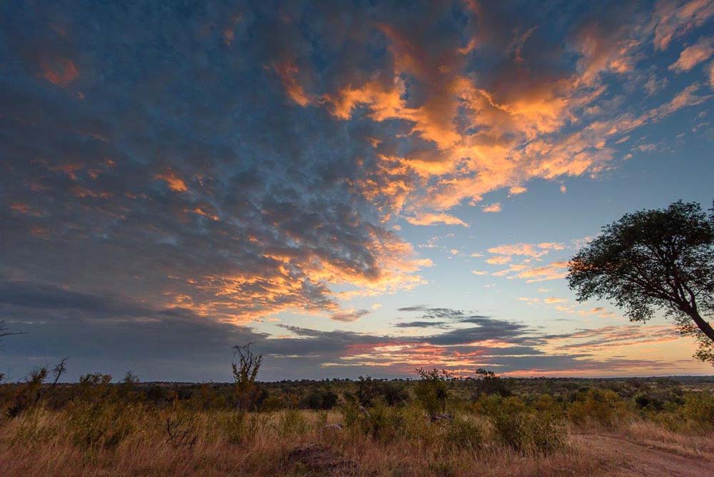 21Mike Palmer Sunset 21Mike Palmer Sunset