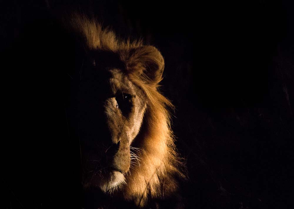 06Kosie Lategan 4way1 1