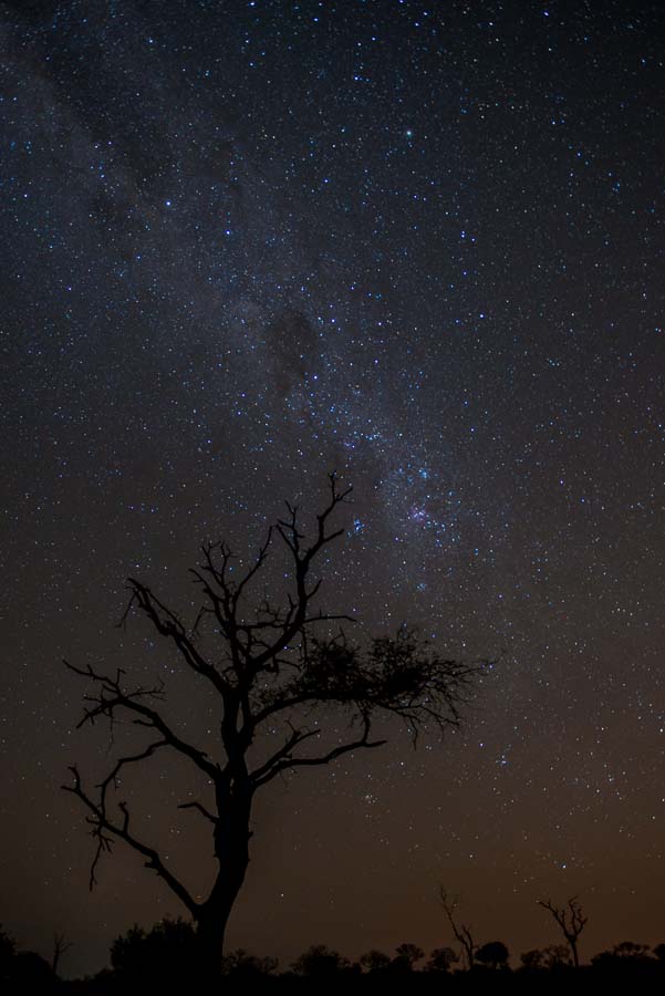 18Terry Ennever Milky Way 18Terry Ennever Milky Way