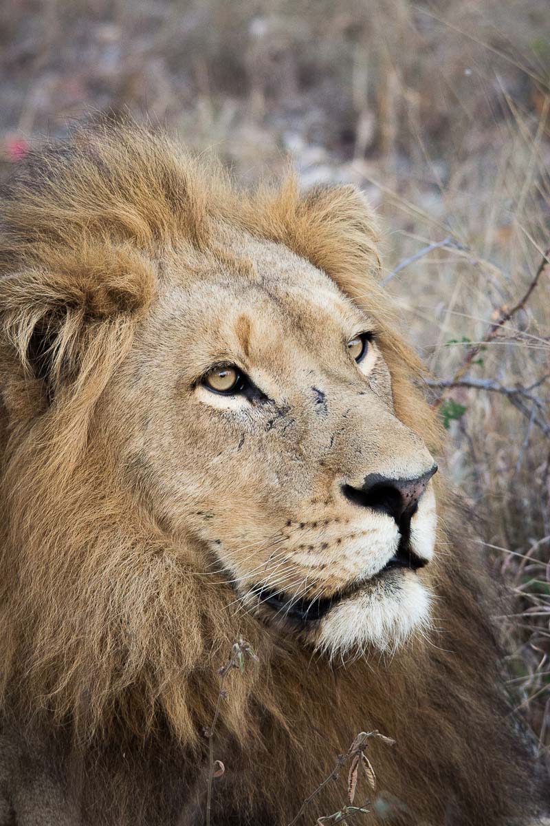 07Franscois Rosslee Fwm2 1 Of 1