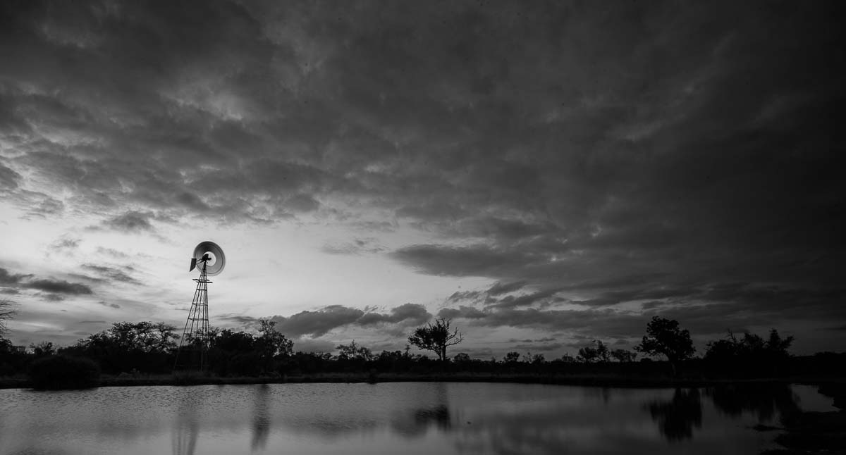 09Mike Palmer Windmill 09Mike Palmer Windmill