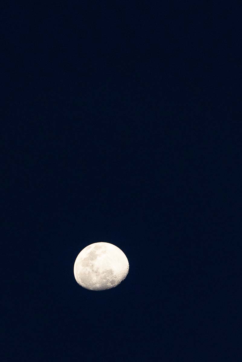 Mike Palmer Moon Mike Palmer Moon