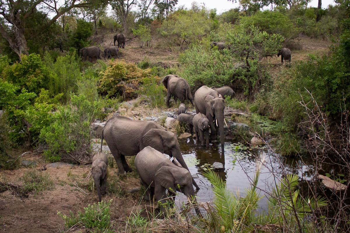 15Franscois Rosslee Ewalk1