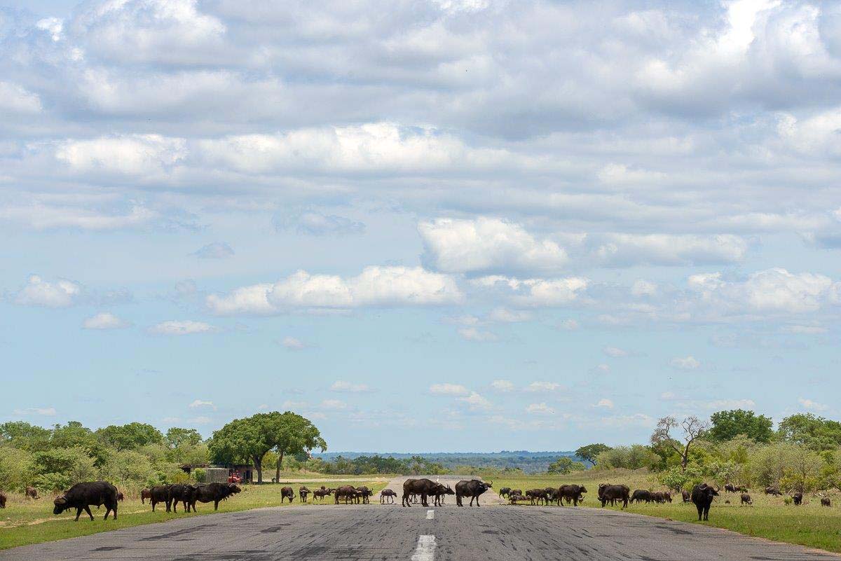 06Mike Palmer Buff Airstrip 091215 1