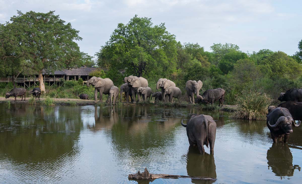 09Terry Ennever Ellie Bush