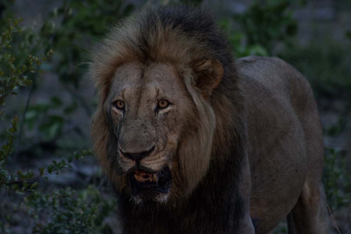 16Tayla McCurdy SP And Charleston 10 Jan 16 4