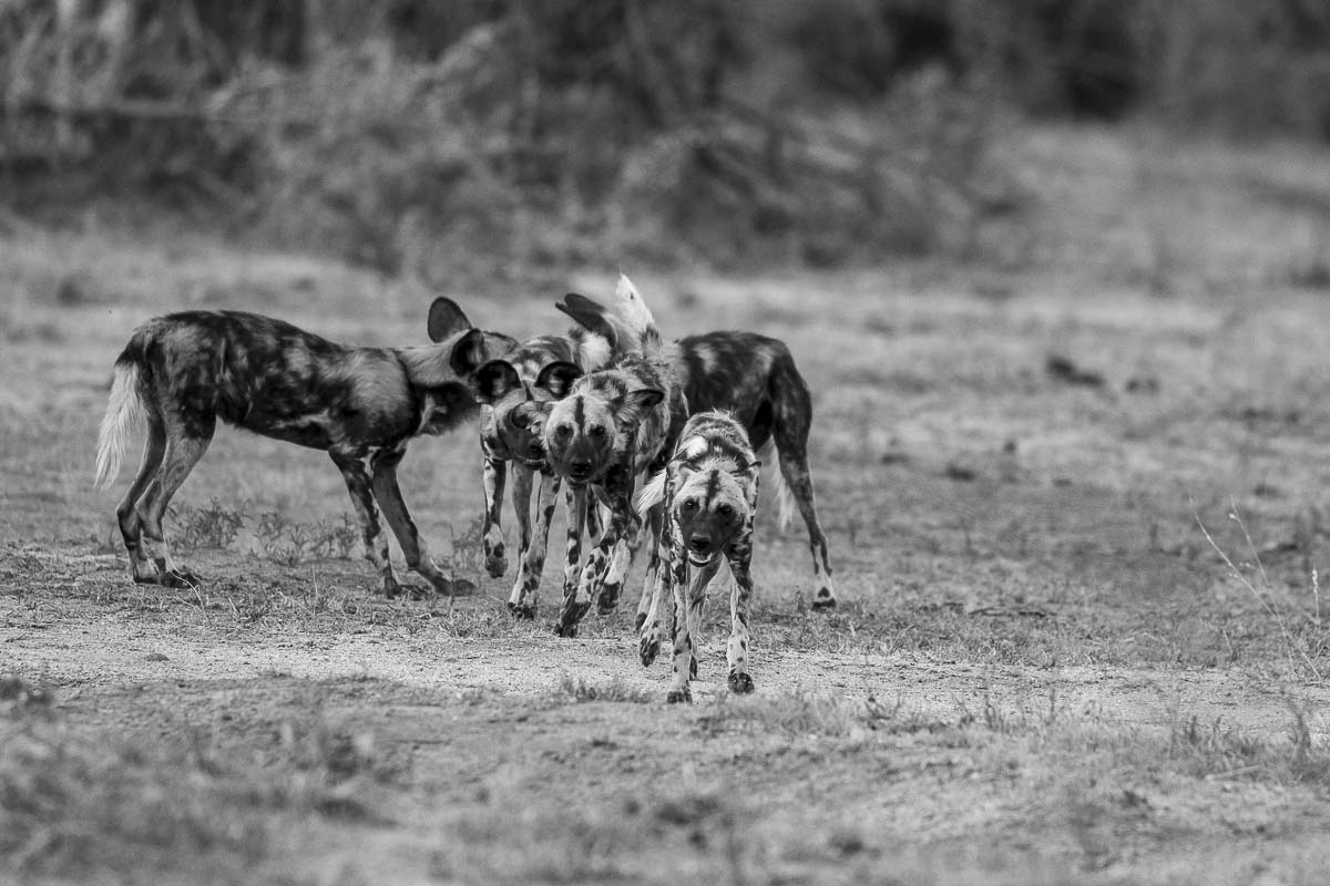 19Kyle Wild Dod Interaction 3