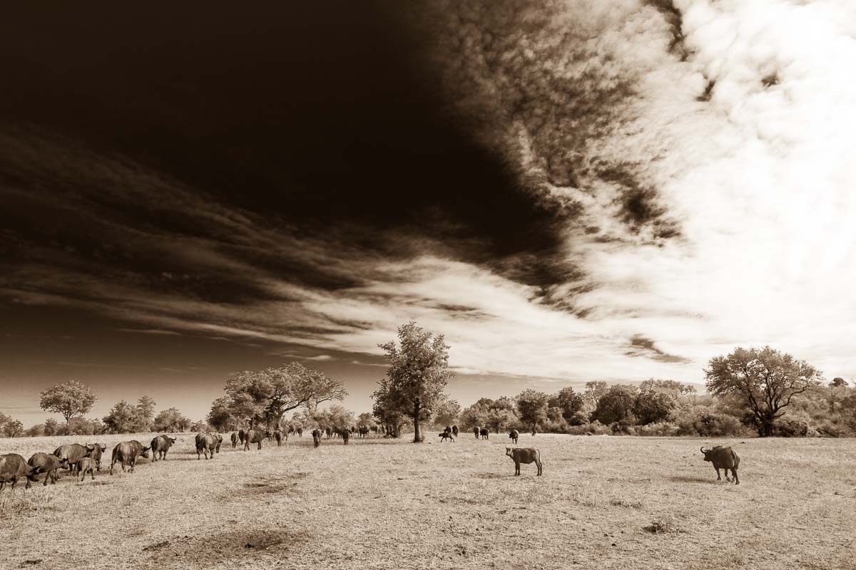 MM 09 1 MM 09 1