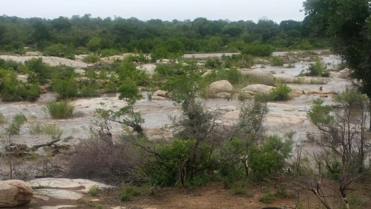 18Franscois Rosslee Sabie River 18Franscois Rosslee Sabie River