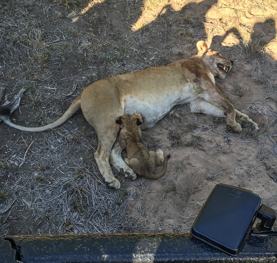 18Mike Palmer Cubs 050316 2 Edited