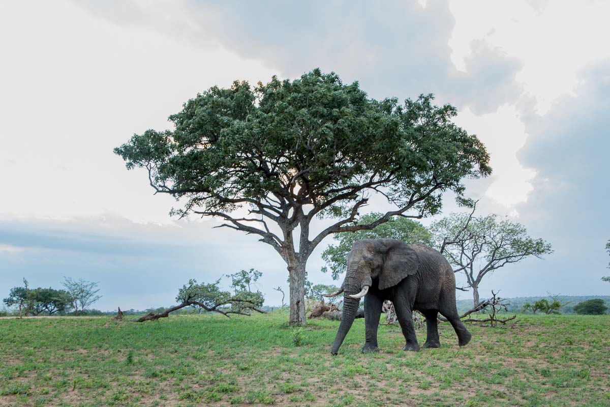 20Pravir Patel Green03