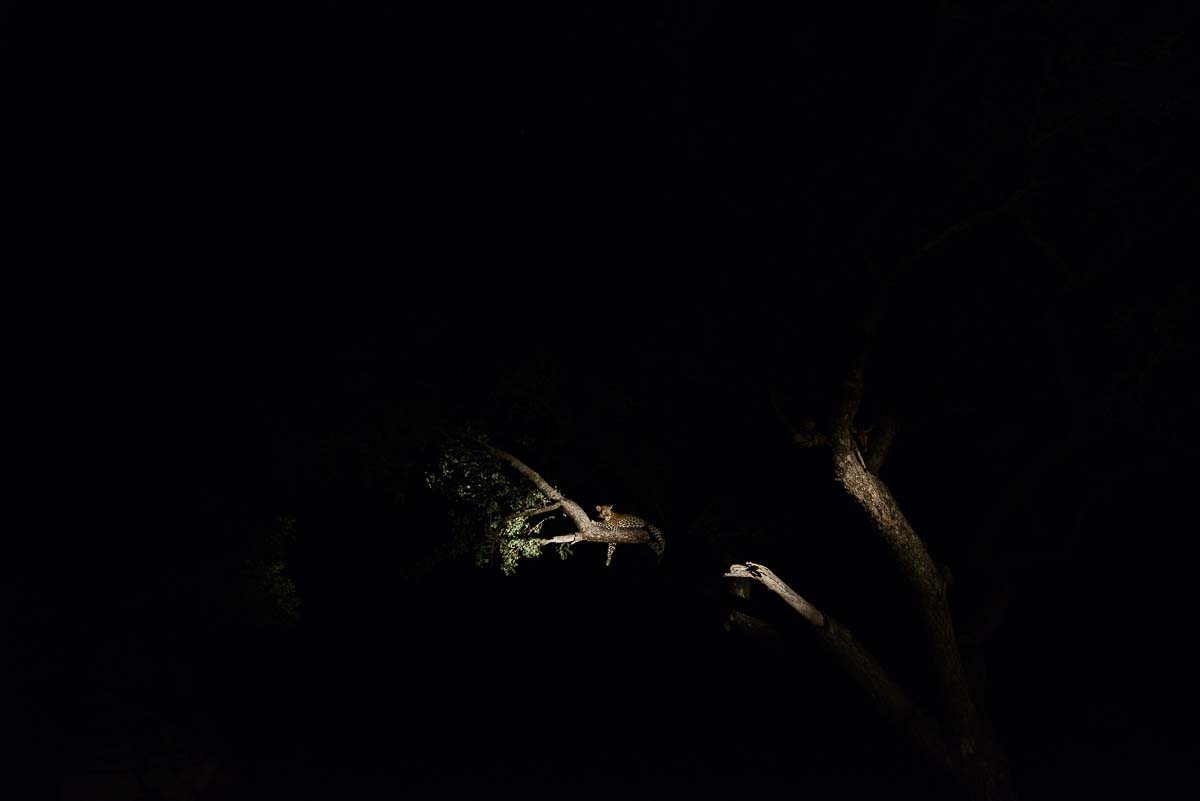 Mike Palmer Hlarulini 070316 10 Mike Palmer Hlarulini 070316 10