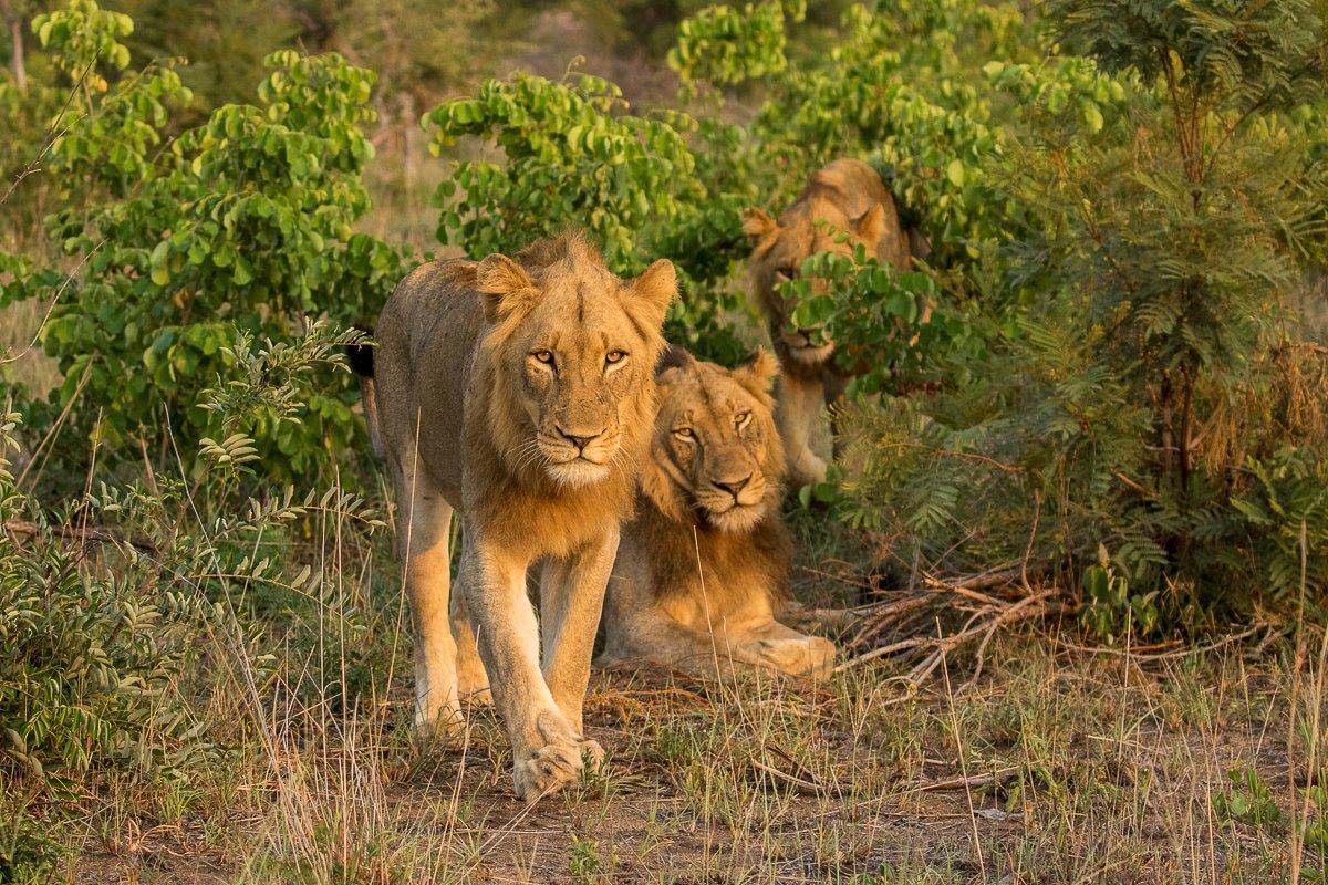 25Kyle Talamati SunRise 4