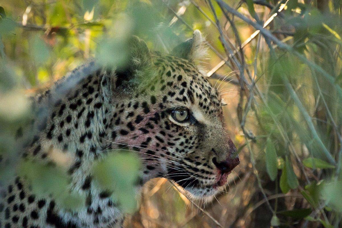 29Sheldon Hooper LBC Kill 3