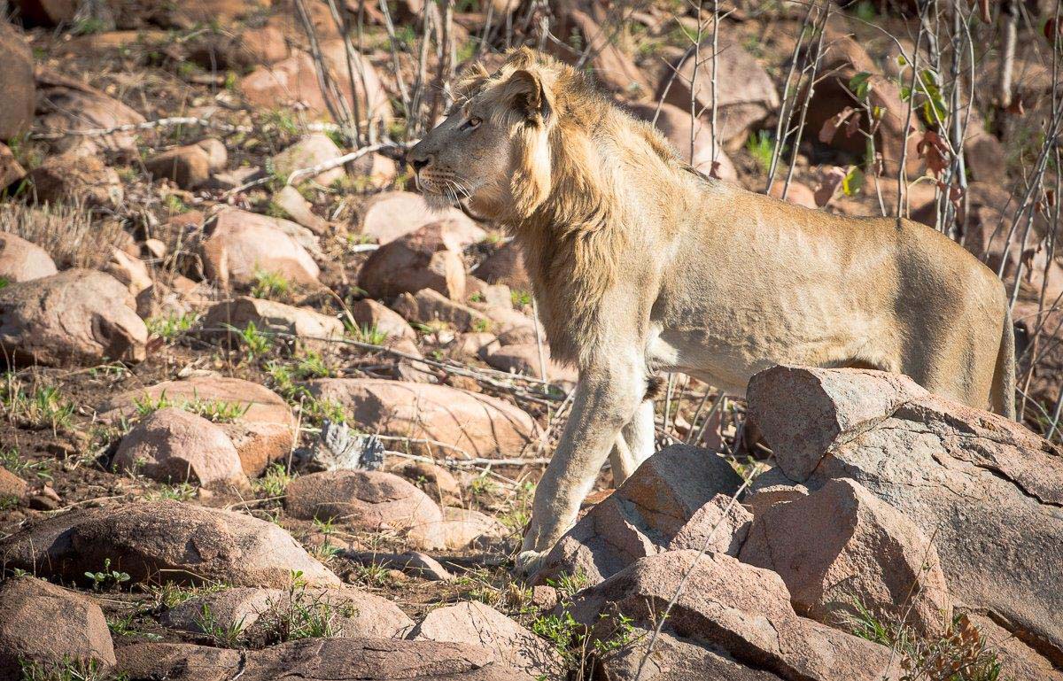 06Terry Ennever Hilders Rock 10 8 16