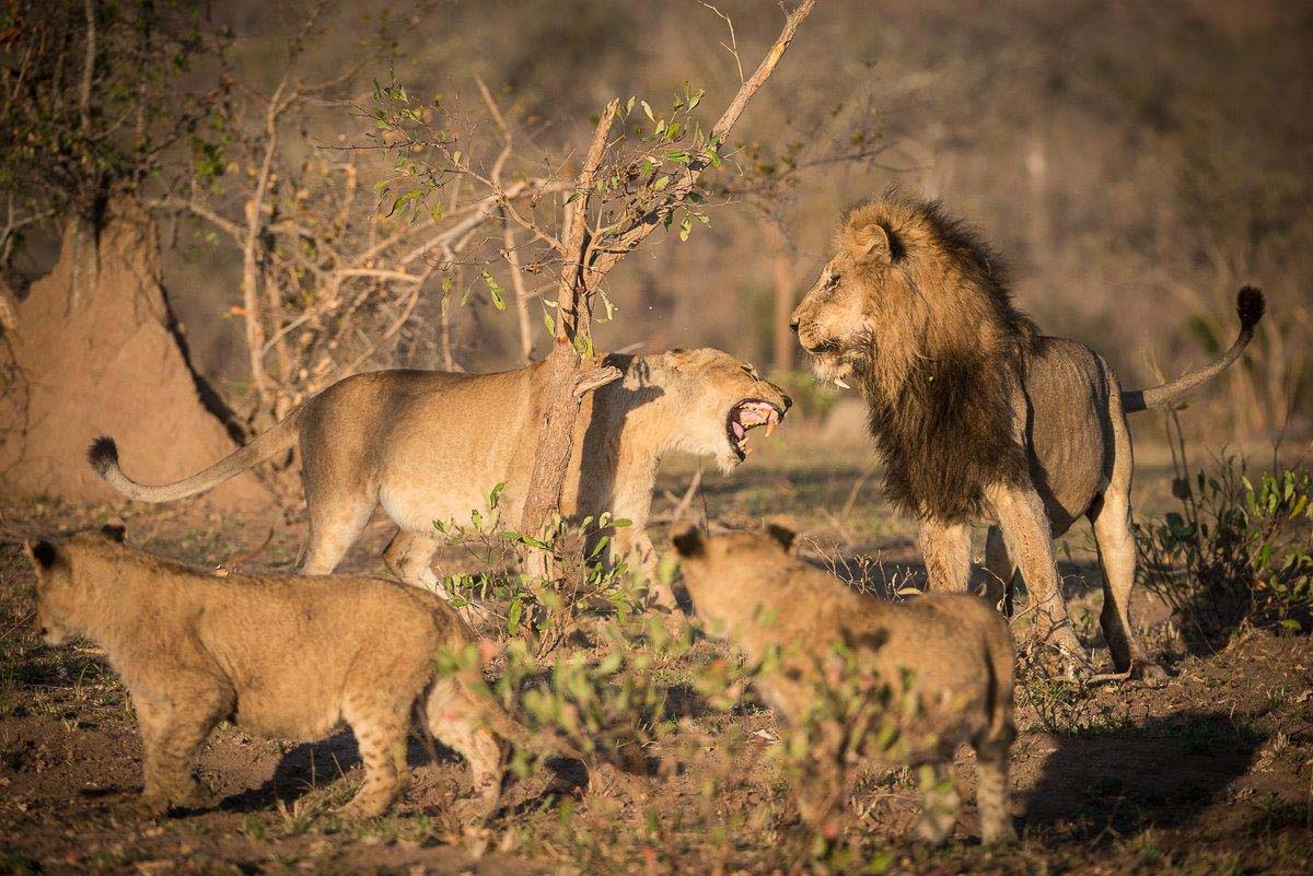 06Terry Ennever SP 11 8 16 5