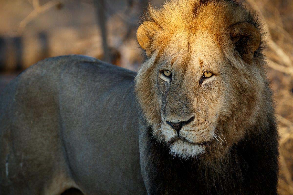 09Mike Palmer Big Boy 031016