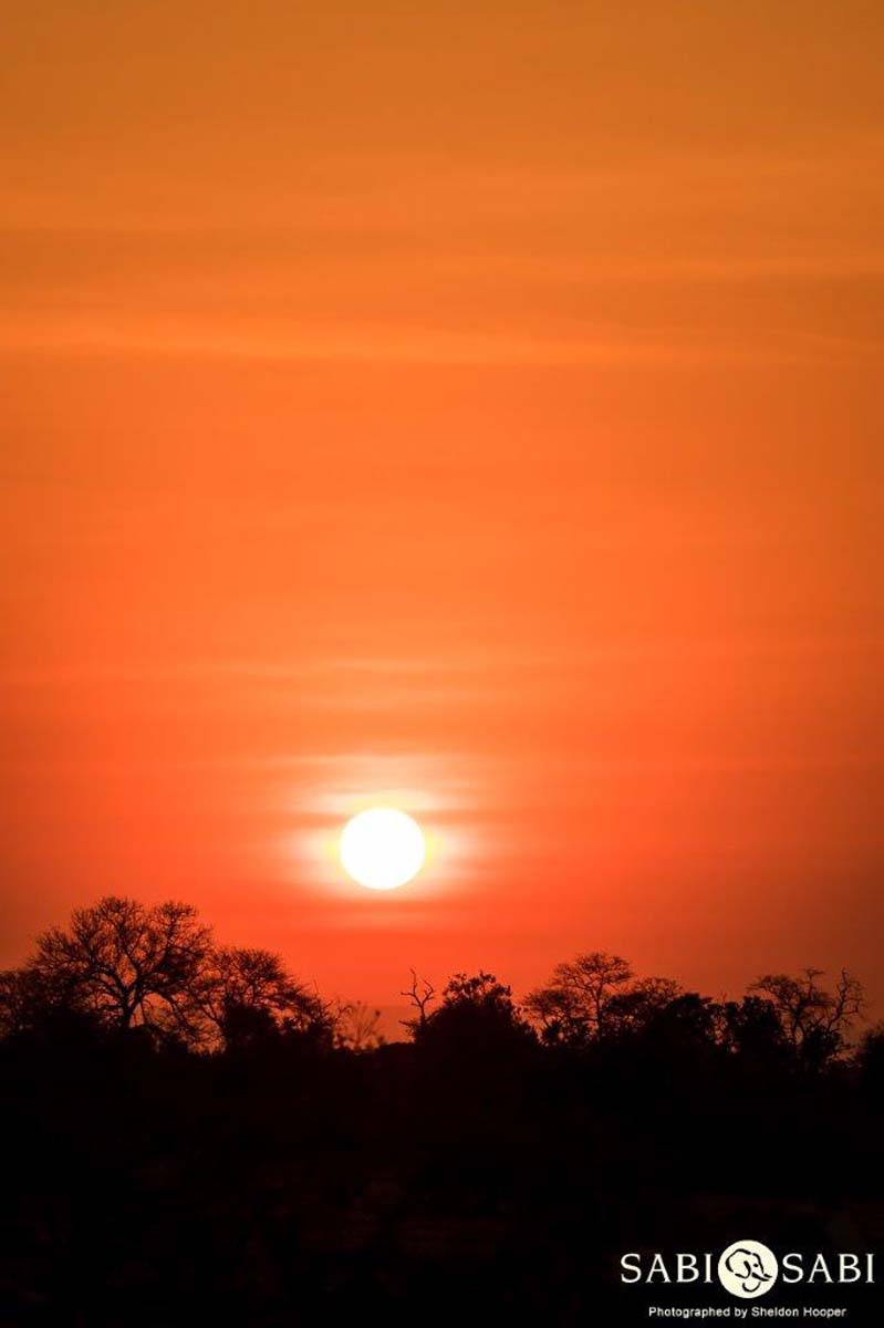 14Sheldon Hooper Sunset Final