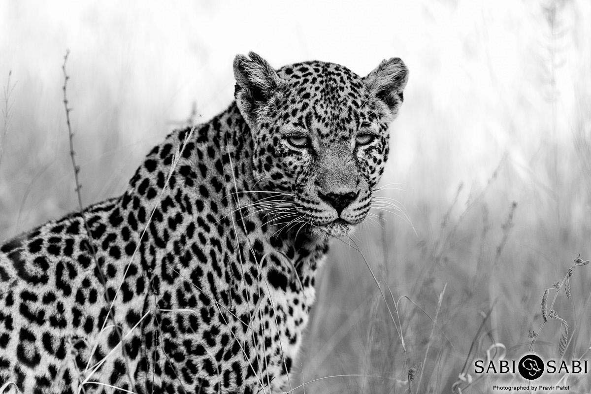 18Pravir Patel Nottins Final