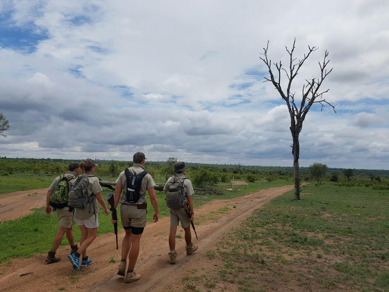 05 IMG 20161226 WA0003