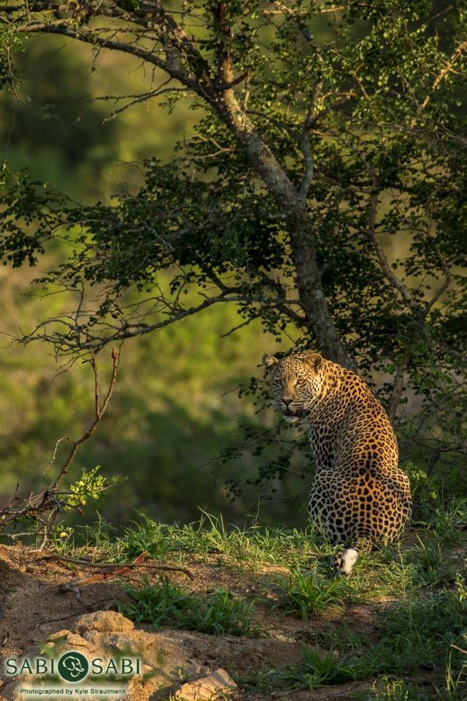 21Kyle Whie D C Pose 3 Final