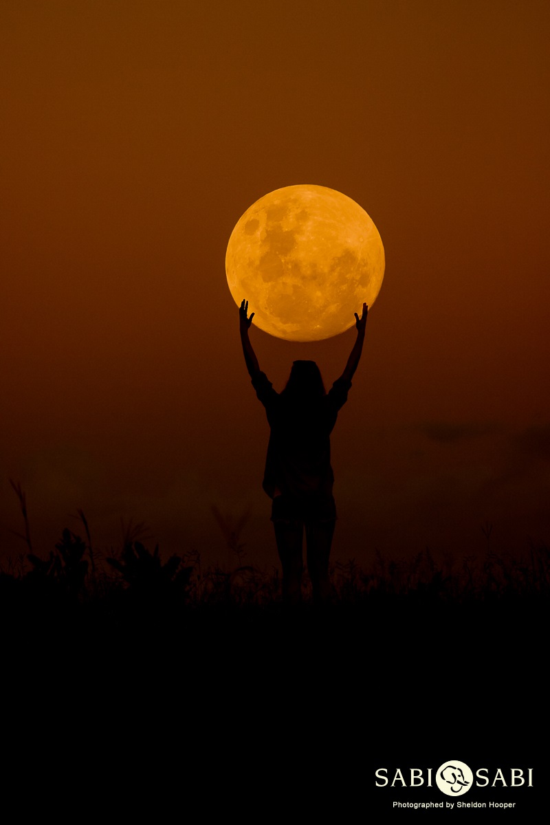 POW 22 Sheldon Hooper Moon Multiple Exposure Final POW 22 Sheldon Hooper Moon Multiple Exposure Final