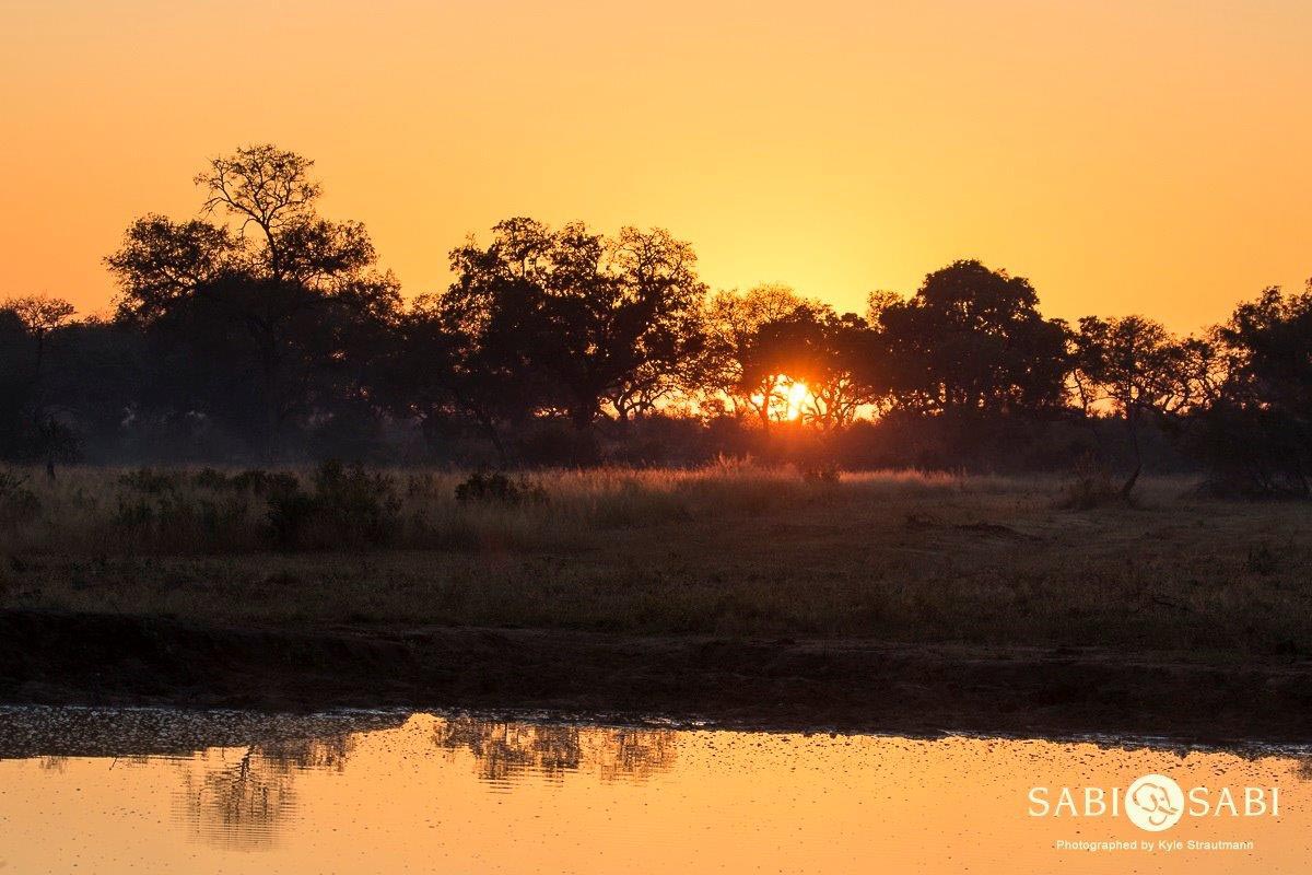 31Kyle 15 May African Sunset Vovo Final 31Kyle 15 May African Sunset Vovo Final